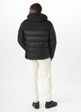 Winter jacket Greyfox