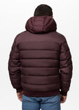Quilted winter jacket with hood DILLON