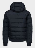 Quilted winter jacket with hood DILLON