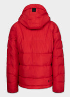Quilted winter jacket with hood PIEDMONT