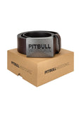 Leather belt TNT