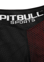 Fight Shorts Mesh New Raster