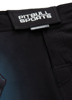 Training shorts Mesh Performance Pro plus Masters of Boxing