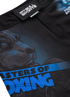 Training shorts Mesh Performance Pro plus Masters of Boxing