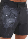 Training shorts Performance Pro plus Born in 1989