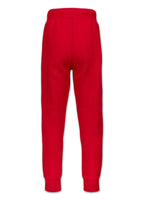 Sweatpants SMALL LOGO HD