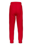 Sweatpants SMALL LOGO HD