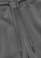Men's Sweat shorts Washed Lancaster II - Gray