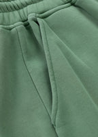 Men's Sweat shorts Washed Lancaster II - Sage green