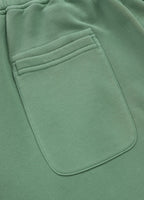 Men's Sweat shorts Washed Lancaster II - Sage green