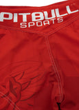 Fight Shorts Mesh PB Polska 2021