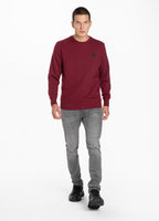 Sweatshirt Small Logo 21