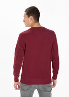 Sweatshirt Small Logo 21