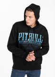Hoodie Blue Skull