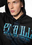 Hoodie Blue Skull
