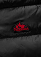 Men's winter jacket Shine