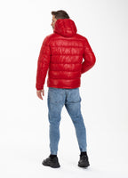 Jacket SHINE 2 Red - Pitbull West Coast  UK Store