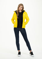 Padded Jacket SEACOAST Yellow - Pitbull West Coast  UK Store