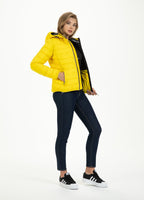 Padded Jacket SEACOAST Yellow - Pitbull West Coast  UK Store