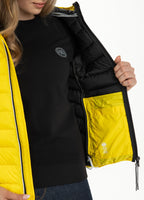 Padded Jacket SEACOAST Yellow - Pitbull West Coast  UK Store