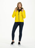 Padded Jacket SEACOAST Yellow - Pitbull West Coast  UK Store