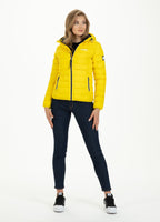 Padded Jacket SEACOAST Yellow - Pitbull West Coast  UK Store