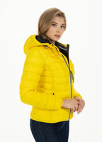 Padded Jacket SEACOAST Yellow - Pitbull West Coast  UK Store