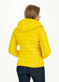 Padded Jacket SEACOAST Yellow - Pitbull West Coast  UK Store