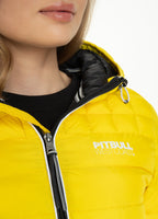 Padded Jacket SEACOAST Yellow - Pitbull West Coast  UK Store