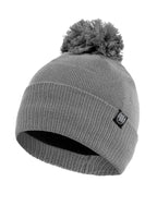 "SMALL LOGO" Beanie Grey - pitbullwestcoast